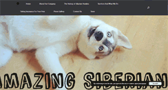 Desktop Screenshot of amazingsiberianhuskies.com