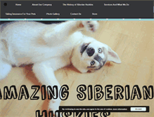 Tablet Screenshot of amazingsiberianhuskies.com